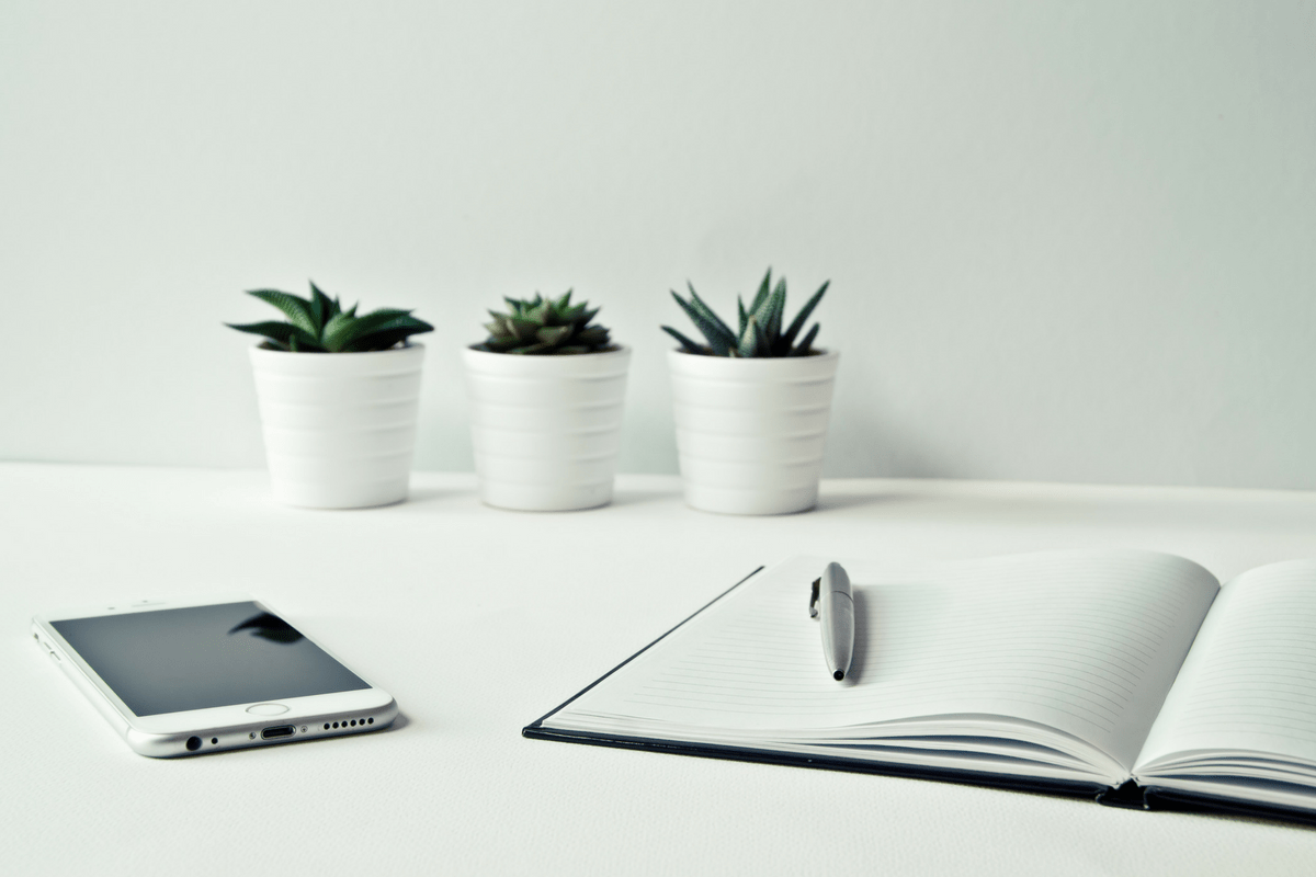 Contact | Ashleigh EG